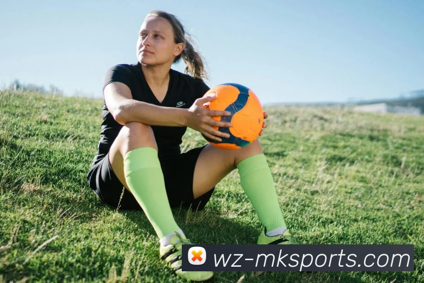 mk体育APP 封面图